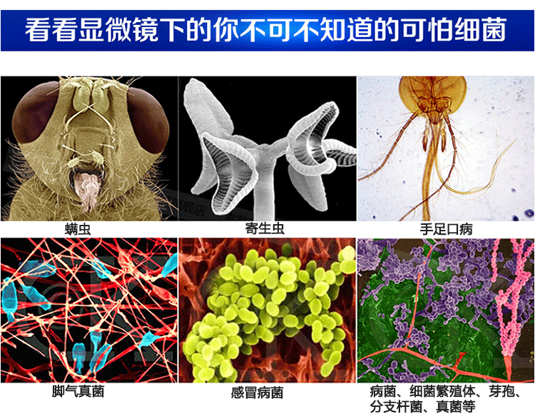 臭氧發(fā)生器殺菌消毒處理,臭氧應(yīng)用于大腸肝菌